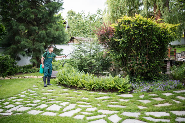 Tree and Shrub Care in Boulder Creek, CA